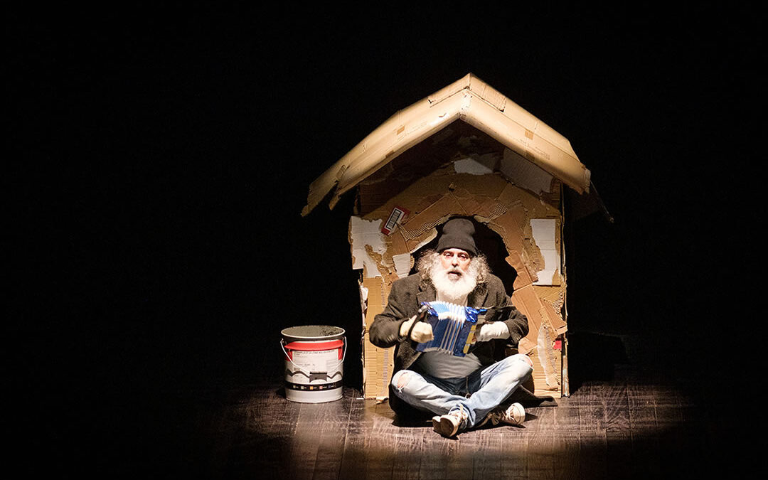 Voces viram o meu cao?