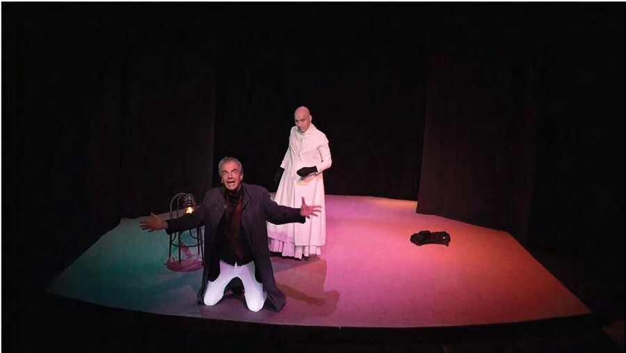 El doble o (el canto del cisne)