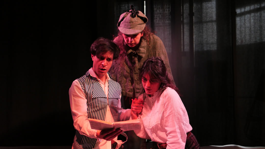 Las aventuras de Sheryl Holmes